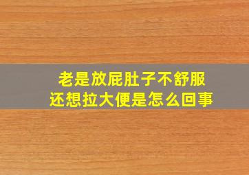 老是放屁肚子不舒服还想拉大便是怎么回事