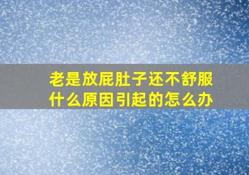 老是放屁肚子还不舒服什么原因引起的怎么办