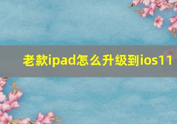 老款ipad怎么升级到ios11