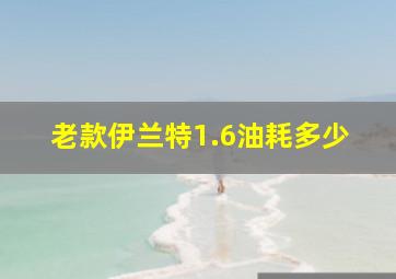 老款伊兰特1.6油耗多少