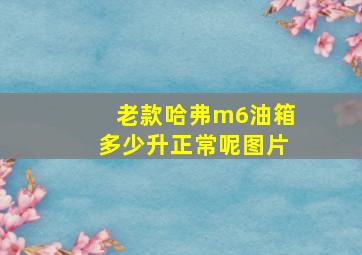 老款哈弗m6油箱多少升正常呢图片