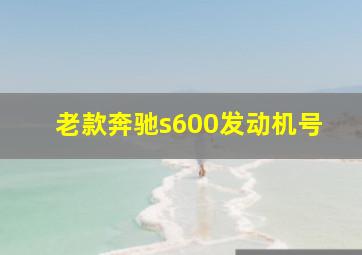 老款奔驰s600发动机号