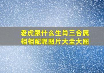 老虎跟什么生肖三合属相相配呢图片大全大图