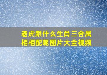 老虎跟什么生肖三合属相相配呢图片大全视频