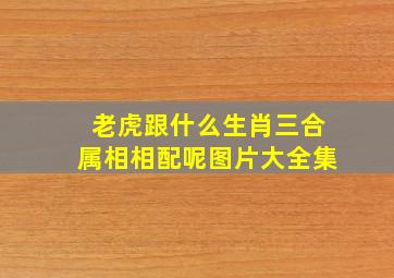 老虎跟什么生肖三合属相相配呢图片大全集