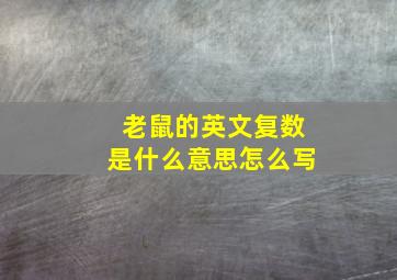 老鼠的英文复数是什么意思怎么写