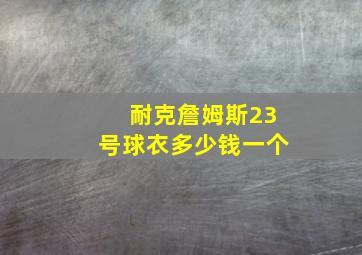 耐克詹姆斯23号球衣多少钱一个