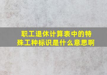 职工退休计算表中的特殊工种标识是什么意思啊