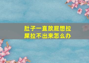 肚子一直放屁想拉屎拉不出来怎么办