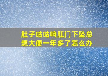 肚子咕咕响肛门下坠总想大便一年多了怎么办