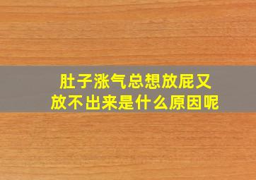 肚子涨气总想放屁又放不出来是什么原因呢