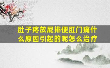 肚子疼放屁排便肛门痛什么原因引起的呢怎么治疗