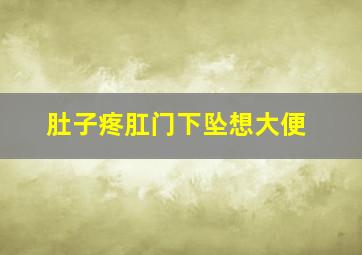 肚子疼肛门下坠想大便