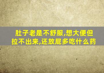 肚子老是不舒服,想大便但拉不出来,还放屁多吃什么药