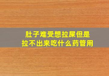 肚子难受想拉屎但是拉不出来吃什么药管用