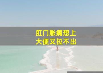 肛门胀痛想上大便又拉不出