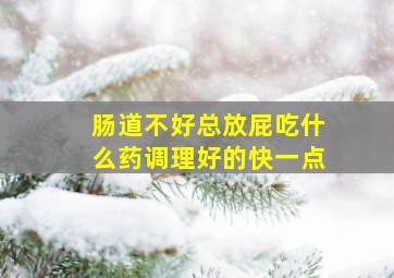 肠道不好总放屁吃什么药调理好的快一点