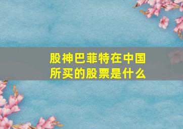 股神巴菲特在中国所买的股票是什么