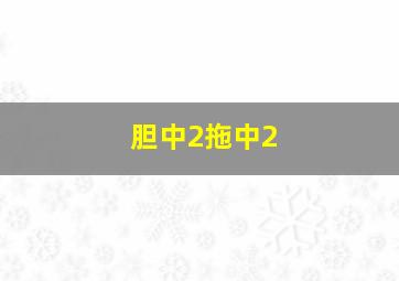 胆中2拖中2