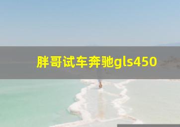 胖哥试车奔驰gls450