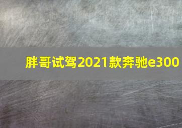 胖哥试驾2021款奔驰e300