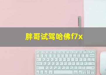 胖哥试驾哈佛f7x