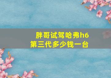 胖哥试驾哈弗h6第三代多少钱一台