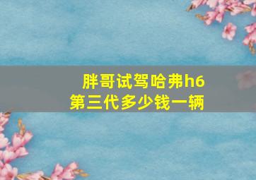 胖哥试驾哈弗h6第三代多少钱一辆