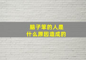 脑子笨的人是什么原因造成的