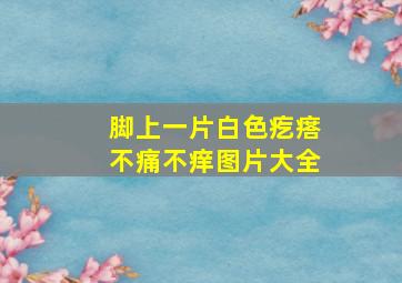 脚上一片白色疙瘩不痛不痒图片大全