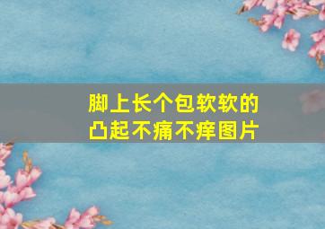 脚上长个包软软的凸起不痛不痒图片