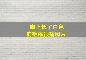 脚上长了白色的疙瘩很痛图片