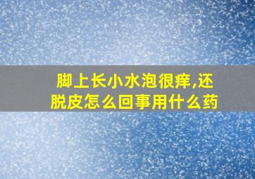 脚上长小水泡很痒,还脱皮怎么回事用什么药