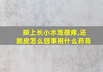 脚上长小水泡很痒,还脱皮怎么回事用什么药膏