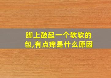 脚上鼓起一个软软的包,有点痒是什么原因