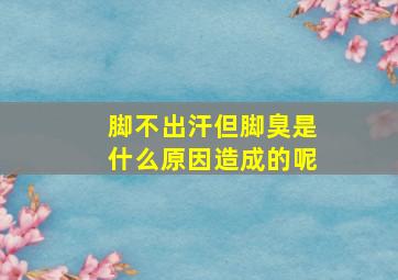 脚不出汗但脚臭是什么原因造成的呢