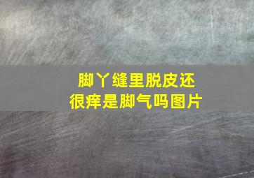 脚丫缝里脱皮还很痒是脚气吗图片