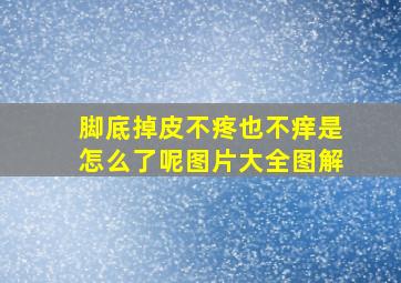 脚底掉皮不疼也不痒是怎么了呢图片大全图解