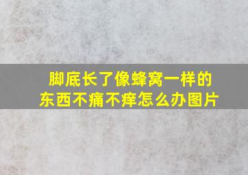 脚底长了像蜂窝一样的东西不痛不痒怎么办图片