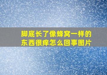 脚底长了像蜂窝一样的东西很痒怎么回事图片