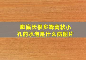 脚底长很多蜂窝状小孔的水泡是什么病图片