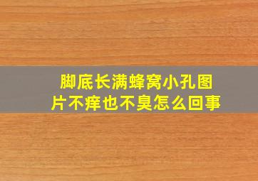 脚底长满蜂窝小孔图片不痒也不臭怎么回事