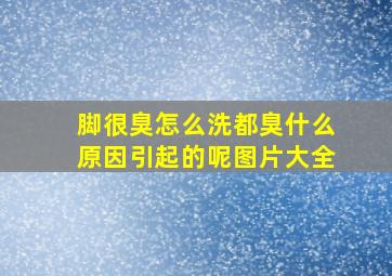 脚很臭怎么洗都臭什么原因引起的呢图片大全