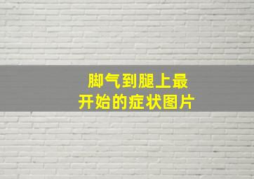 脚气到腿上最开始的症状图片