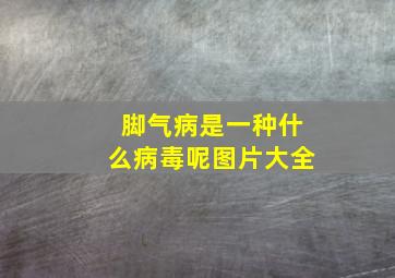 脚气病是一种什么病毒呢图片大全