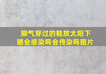 脚气穿过的鞋放太阳下晒会感染吗会传染吗图片