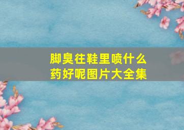 脚臭往鞋里喷什么药好呢图片大全集