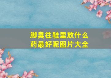 脚臭往鞋里放什么药最好呢图片大全