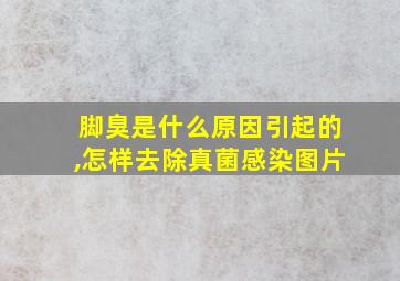 脚臭是什么原因引起的,怎样去除真菌感染图片