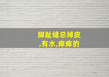 脚趾缝总掉皮,有水,痒痒的